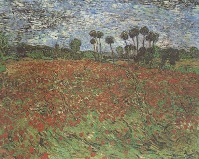 Vincent Van Gogh Field with Poppies (nn04) china oil painting image